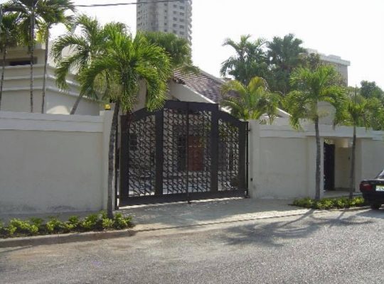 White gate surrounded by tropical palm trees.