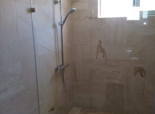 Bathroom setting with a shower and toilet.